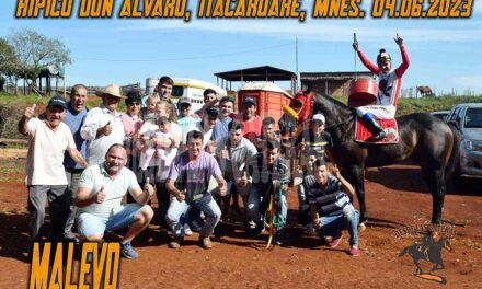 MALEVO – DON ALVARO – 4-6-23