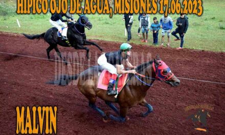MALVIN ENSEÑO EL CAMINO…