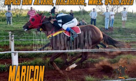 MARICON DE LOCAL LUCE INEXPUGNABLE ….