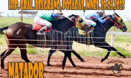 APARECIO EL MATADOR Y COMENZÓ EL SHOW….