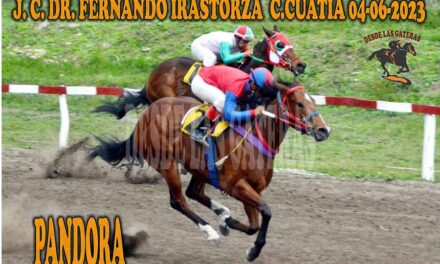 PANDORA…ESA BELLA CAJITA DE SORPRESAS….