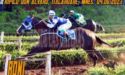 RONI FUE EL ELEGIDO….