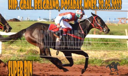 SUPER BIN HIZO LOS DEBERES….