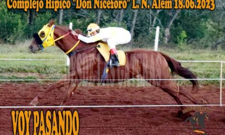 PASO DE LARGO VOY PASANDO PASO DE LARGO….