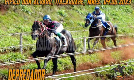 EL MADRUGADOR FUE DEPREDADOR….