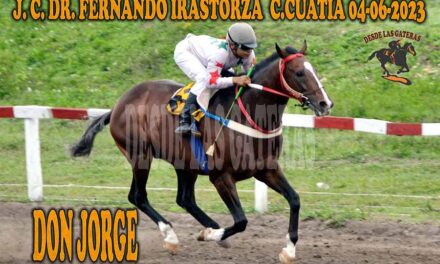 DON JORGE FUE DEMASIADO…