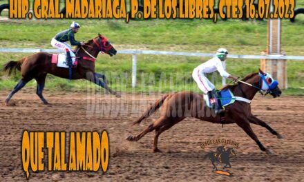 QUE TAL AMADO ESTUVO BIEN ATENTO….