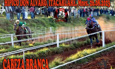 METIO LA CABEZA , CABEZA BRANCA..