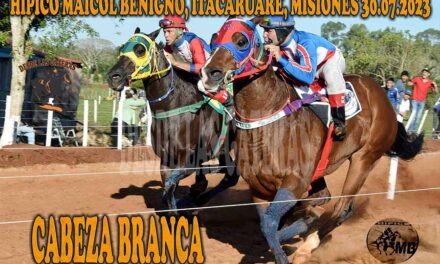 MAS QUE CABEZA BRANCA UN CABEZA DURA…