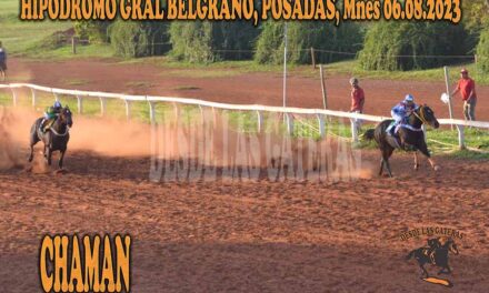 CHAMAN FUE TORAZO EN RODEO AJENO….