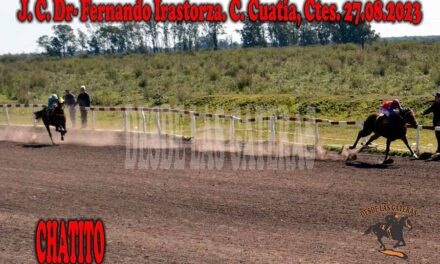 LOS DEJO CHATITO…