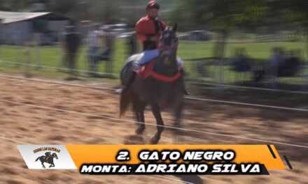 LAS GARRAS AFILADAS DE GATO NEGRO…