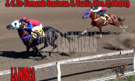UNA MOLESTA MOSCA….