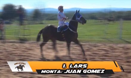 LARS Y SU RACHA POSITIVA….