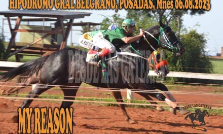 MY REASON VOLVIÓ POR SUS FUEROS….