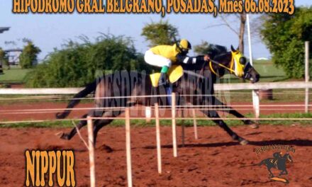 NIPPUR… EN TIERRA PROMETIDA…