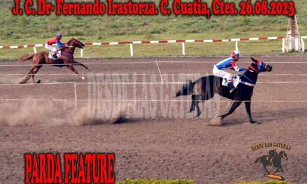 DESEMPARDO PARDA FEATURED.