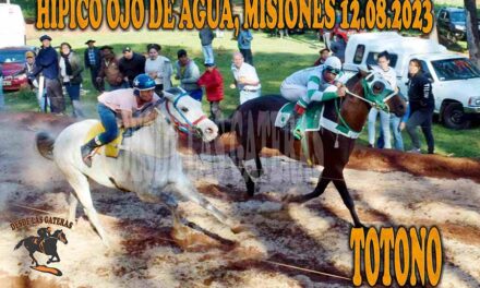 TOTONO… EN NOMBRE DE LA MADRE…