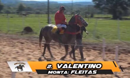 VALENTINO VOLVIÓ CON TODO..