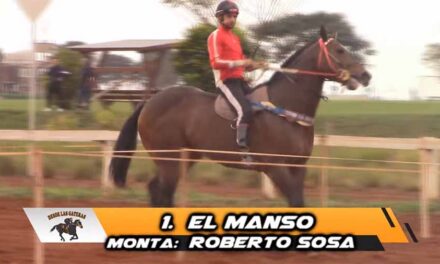 PARA NADA MANSO…