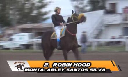 ROBIN HOOD AL ASALTO….