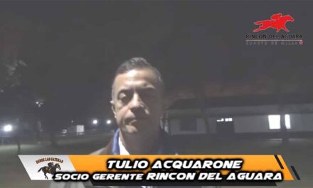 RESUMEN REMATE HARAS RINCON DEL AGUARÁ
