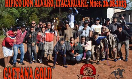 CAETANA GOLD – DON ALVARO – 26-8-23