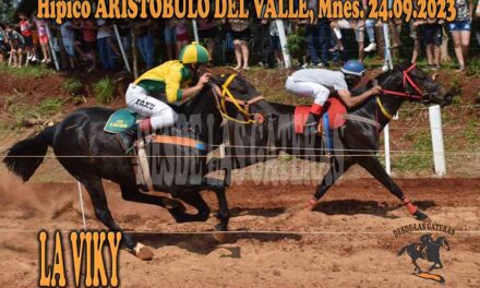 LA VIKY UN DIA VOLVIO….