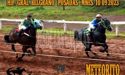LA TOZUDEZ DE METEORITO….