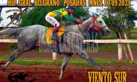 EL VIENTO FUERTE SOPLÓ DESDE EL SUR…