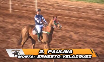 SIGUE HACIENDIO DE LAS SUYAS PAULINA…