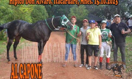 ALCAPONE – DON ALVARO – 15-10-23