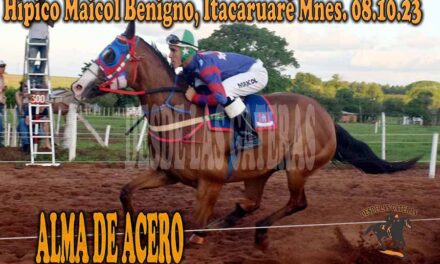 ALMA DE ACERO LO ANIQUILÓ….