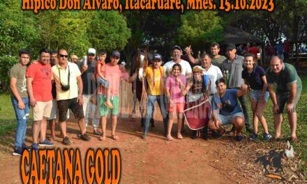 CAETANA GOLD – DON ALVARO – 15-10-23