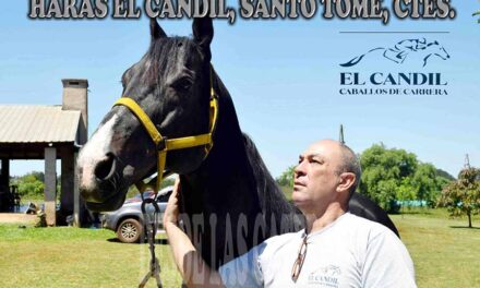 HARAS EL CANDIL – SANTO TOMÉ CORRIENTES
