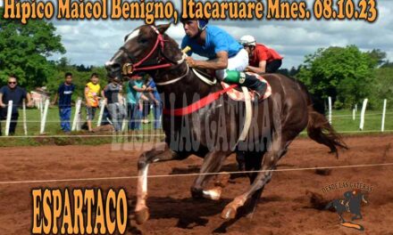 ESPARTACO SE REVELÓ…