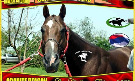 LA PREVIA… GRANITE REASON, COPA CHALLENGER..