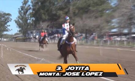 UNA VERDADERA JOYITA…