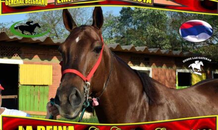 LA PREVIA… LA REINA, COPA CHALLENGER…