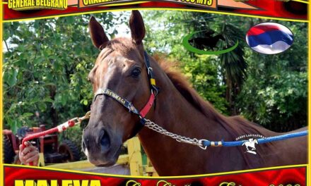 LA PREVIA…MALEVA, COPA CHALLENGER…
