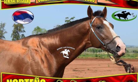 LA PREVIA… NORTEÑO, COPA CHALLENGER…