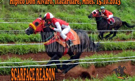LA MASCARA DE LA VICTORIA DE SCARFACE REASON….
