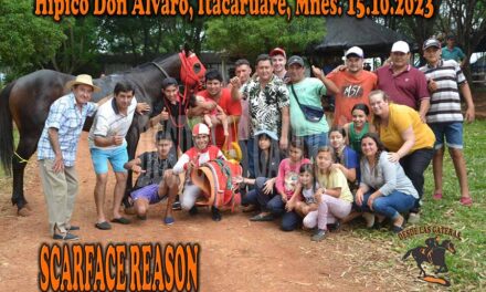 SCARFACE REASON – DON ALVARO – 15-10-23
