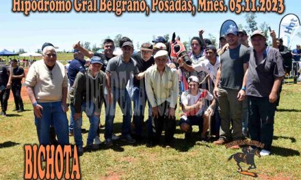 BICHOTA – CHALLENGER GRAL BELGRANO – 5-11-23