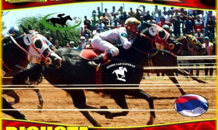 BICHOTA… SINONIMO DE DEDICACION ESFUERZO, Y TRABAJO…..