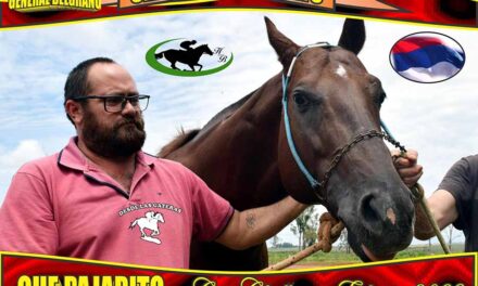 LA PREVIA… CHE PAJARITO, COPA CHALLENGER…