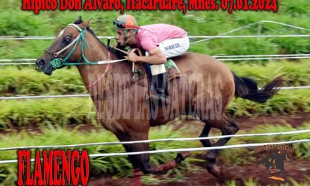 FLAMENGO FUE APABULLANTE….