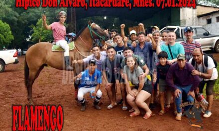 FLAMENGO – DON ALVARO 17-1-24