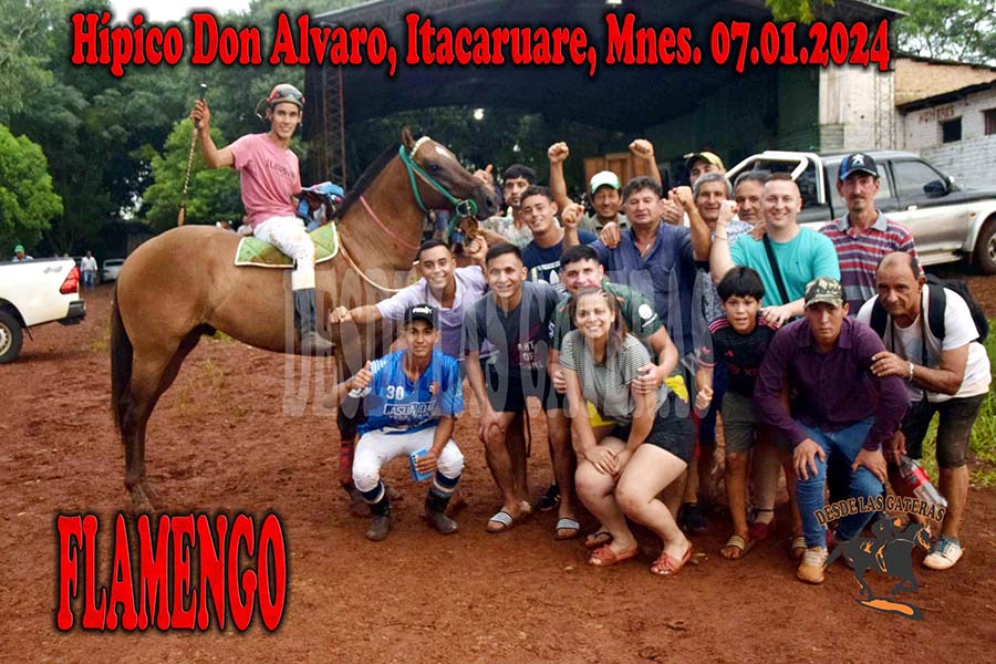 FLAMENGO – DON ALVARO 17-1-24