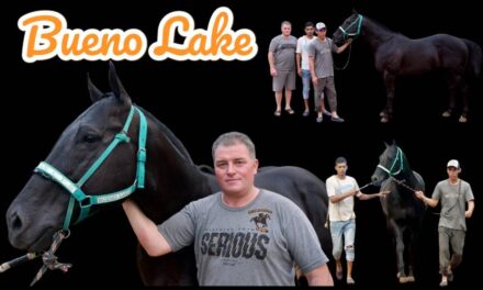 BUENO LAKE – LA PREVIA – COPA CHALLENGER 2024
